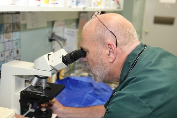 Lawndale Pet Hospital by null