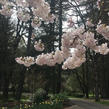 Green Acres Landscape - Spring - Landscaping Near Me - Salem, Oregon Green Acres Landscape - Spring - Landscaping Near Me - Salem, Oregon