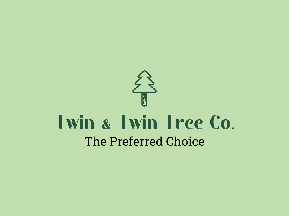 TWIN & TWIN TREE Updated July 2024 Indianapolis, Indiana Tree