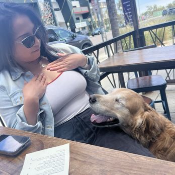 Counterpoint - Outdoor patio is dog friendly - Bars Near Me - San Diego, California Counterpoint - Outdoor patio is dog friendly - Bars Near Me - San Diego, California