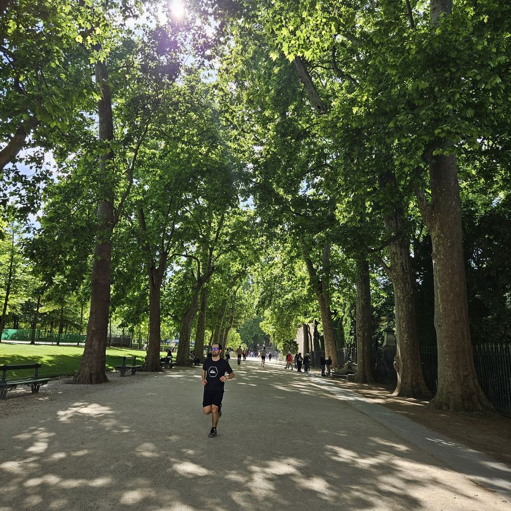 Jardin du Luxembourg - Parks Near Me - Paris, 75 Jardin du Luxembourg - Parks Near Me - Paris, 75