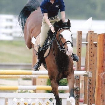 True Blue Farm - Horseback Riding Near Me - Sarasota, Florida True Blue Farm - Horseback Riding Near Me - Sarasota, Florida