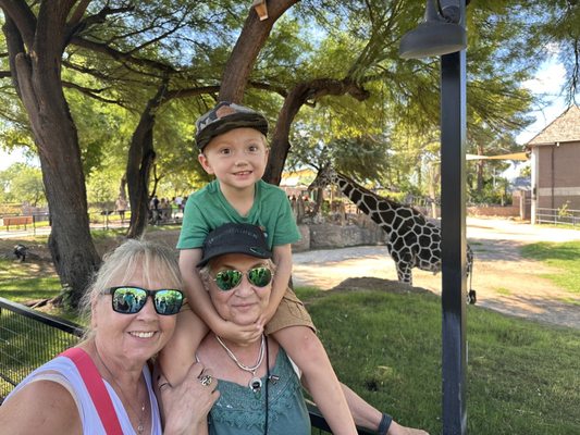 Reid Park Zoo by null