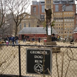 George's Dog Run