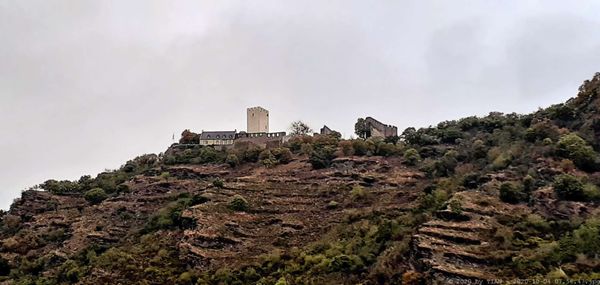 Rheinfels Castle by null