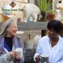 Photo of Diverse Senior Care