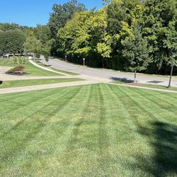 Josh's Lawn and Tree