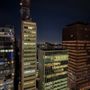 Photo of Melia paulista