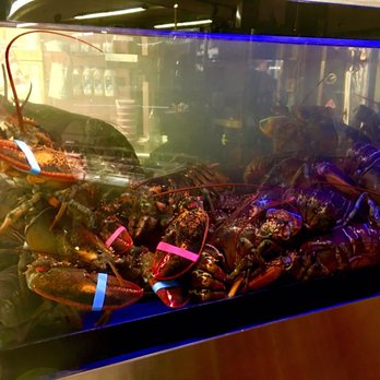 Wynn’s Market - Live Lobster!! - Bakeries Near Me - Naples, Florida Wynn’s Market - Live Lobster!! - Bakeries Near Me - Naples, Florida