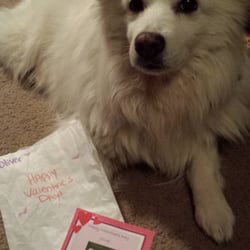 Hanover Your Pet - Oliver with his Valentine from Hanover Your Pet