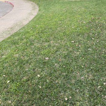 Trinity River Lawn Care - Lawn Services Near Me - Irving, Texas Trinity River Lawn Care - Lawn Services Near Me - Irving, Texas