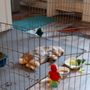 Photo of MSPCA-Angell West