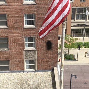 Hilton Milwaukee - With the lighting it was impossible to get a clear pic of this spider, web, & babies - Hotels Near Me - Milwaukee, Wisconsin