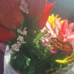 Dollar Tree