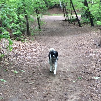 Staring Lake Dog Park - Dog Parks Near Me - Eden Prairie, Minnesota Staring Lake Dog Park - Dog Parks Near Me - Eden Prairie, Minnesota