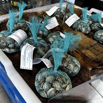 Lombardi's Seafood - Clams - Seafood Markets Near Me - Winter Park, Florida Lombardi's Seafood - Clams - Seafood Markets Near Me - Winter Park, Florida