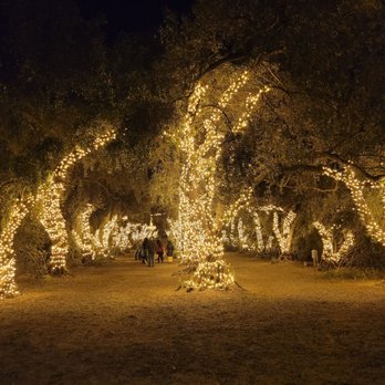 123 Farm - Perfect photo op every step of the way - Farmers Market Near Me - Cherry Valley, California