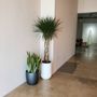 Photo of Zen Plant Care