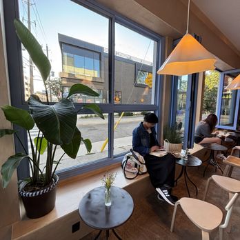 Calmo - Wine Bars Near Me - Toronto, Ontario