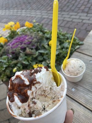MELT Ice Creams - Mule Alley by null