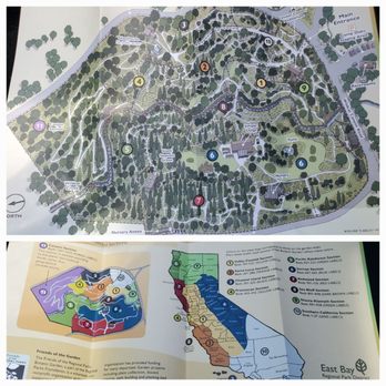 Tilden Regional Park - Regional Parks Botanic Garden guide - Parks Near Me - Berkeley, California