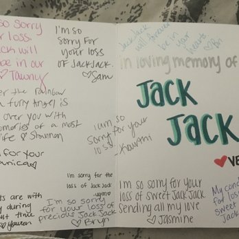 VEG ER for Pets - The wonderful card they sent - Emergency Pet Hospital Near Me - Fort Worth, Texas VEG ER for Pets - The wonderful card they sent - Emergency Pet Hospital Near Me - Fort Worth, Texas