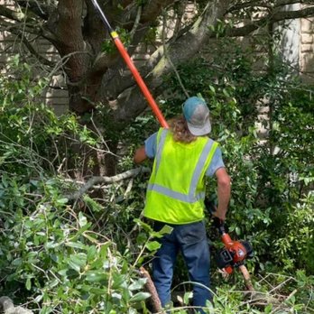 Bucket Man Tree Services - Tree Services Near Me Bucket Man Tree Services - Tree Services Near Me