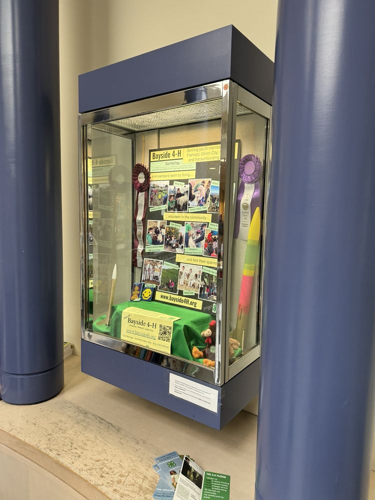 FREMONT MAIN LIBRARY Updated December 2024 176 Photos & 167 Reviews