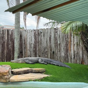Fun Spot America - Alligator - Arcades Near Me - Orlando, Florida