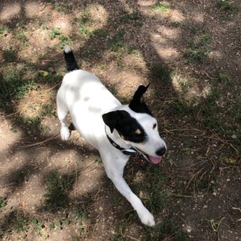 Beau Monde Kennels - Exploring - Pet Boarding Near Me - Castle Rock, Colorado