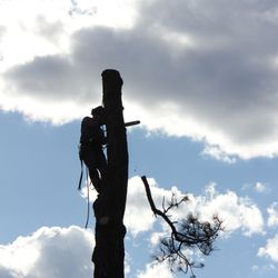 ArborTech