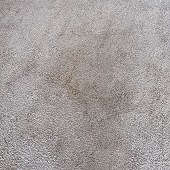 Spring Creek Apartments - Stained carpets all through living room, dining room and spare bedroom that looked like animal pee and smelled musty. - Apartments Near Me - Macungie, Pennsylvania Spring Creek Apartments - Stained carpets all through living room, dining room and spare bedroom that looked like animal pee and smelled musty. - Apartments Near Me - Macungie, Pennsylvania