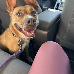 Penny