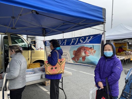 San Mateo Farmers' Market by null