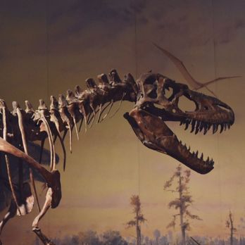 Royal Tyrrell Museum - Museums Near Me - Drumheller, Alberta