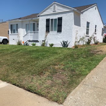 ConserveX - Before - Lawn Services Near Me - Beverly Hills, California