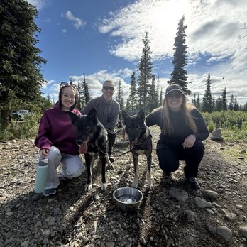 Wildthingz Dog Mushing Summer Tours - I'm so glad Emily grabbed a picture of us with the dogs after their run because I probably would have forgotten, ha. - Tours Near Me - Cantwell, Alaska Wildthingz Dog Mushing Summer Tours - I'm so glad Emily grabbed a picture of us with the dogs after their run because I probably would have forgotten, ha. - Tours Near Me - Cantwell, Alaska