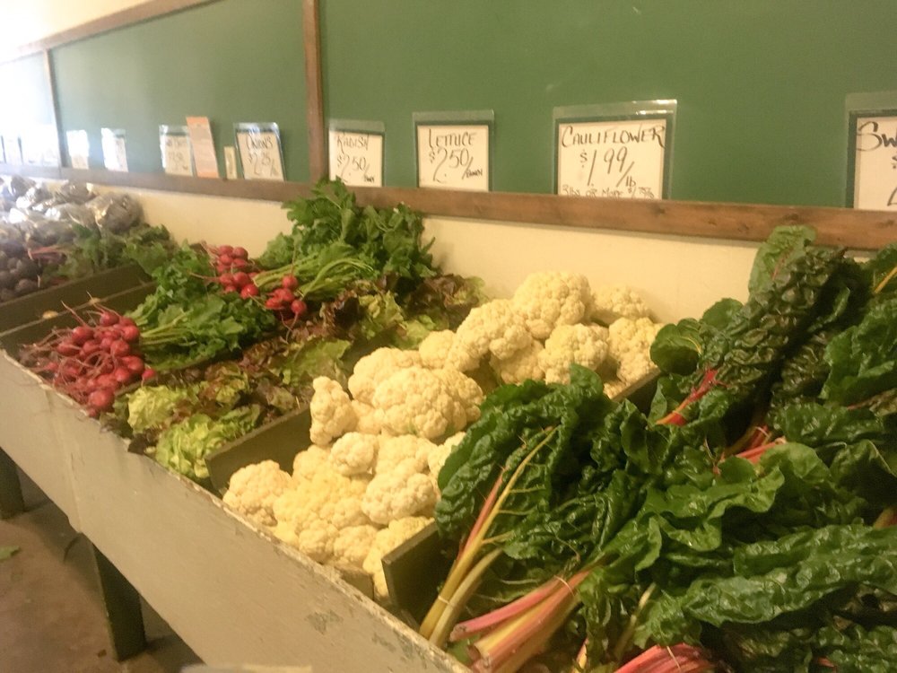 BRENNEIS VEGETABLE GARDEN Updated August 2024 16580 6 Street NW