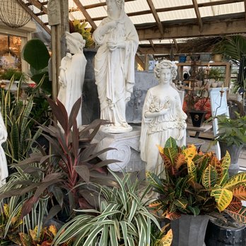 The Plant Gallery - Florists Near Me - Metairie, Louisiana The Plant Gallery - Florists Near Me - Metairie, Louisiana