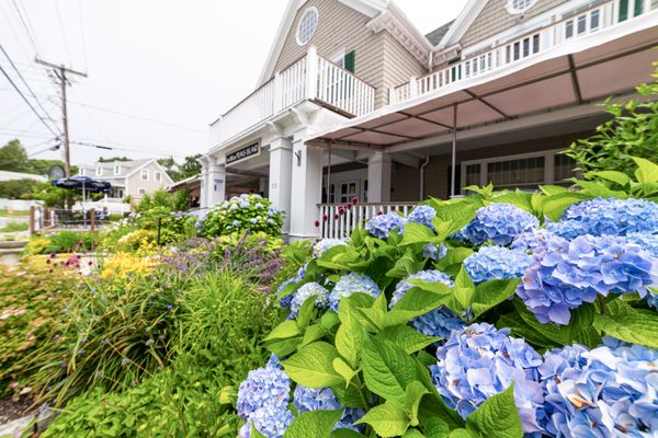 The Inn On Peaks Island by null
