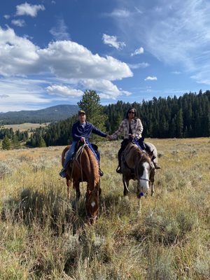 Jake's Horses Inc. by null