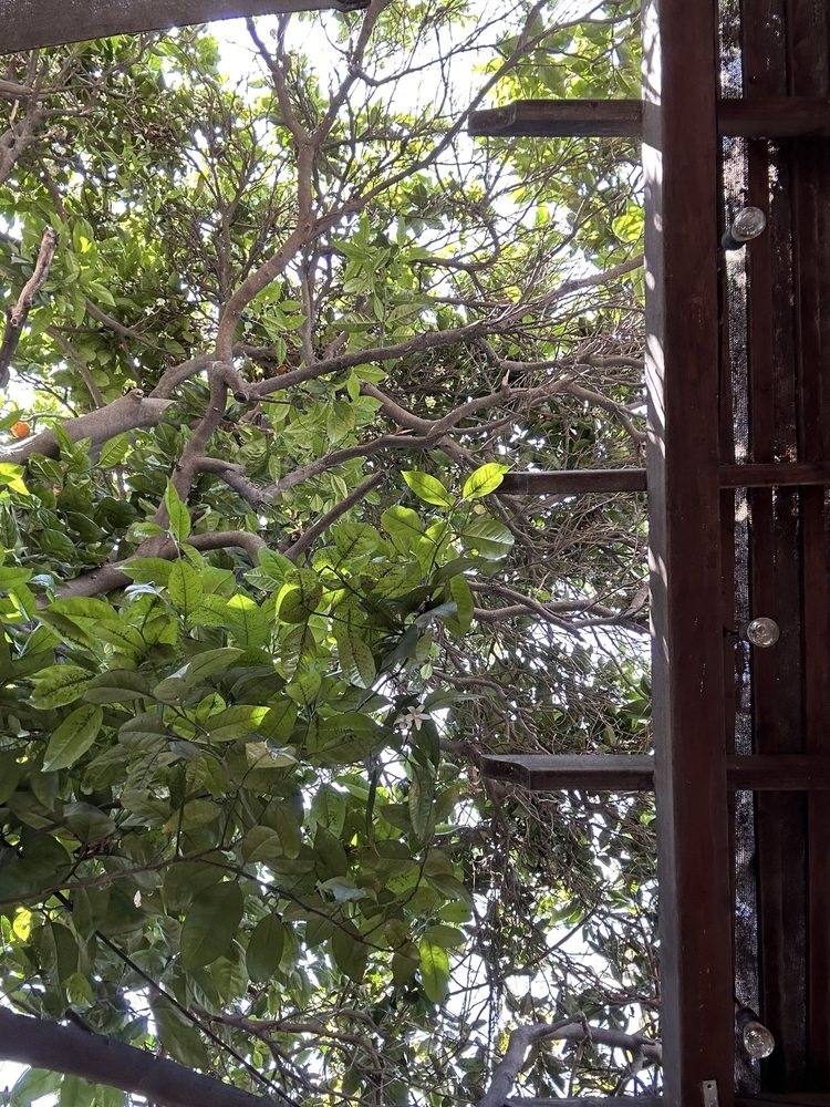 Casa Marcelo