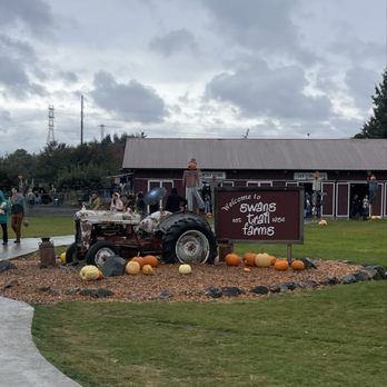 Swans Trail Farms - Pumpkin Patches Near Me - Snohomish, Washington