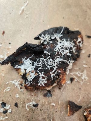 June's Pizza by null