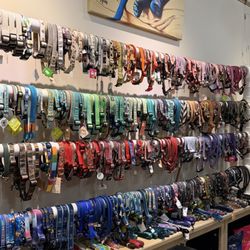 Chien de Luxe - collar wall