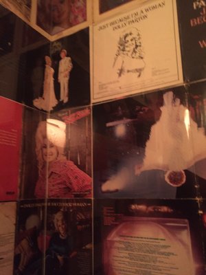 Dolly's Swing and Dive by null