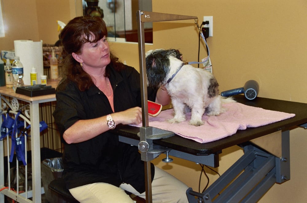 NEW TAMPA PET RESORT 18 Reviews Pet Boarding 3513 E Country Line Rd, Lutz, FL Phone