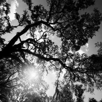 Suwannee Springs - Parks Near Me - Live Oak, Florida Suwannee Springs - Parks Near Me - Live Oak, Florida
