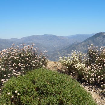 Mount Lukens - Eastward View to San Gabriel Mountains - Hiking Near Me - Tujunga, California Mount Lukens - Eastward View to San Gabriel Mountains - Hiking Near Me - Tujunga, California