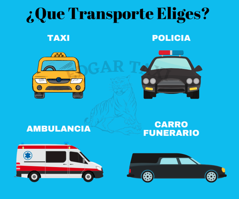 Un Servicio Hispano - Edgar Taxi es una de las empresas emergentes de la ciudad de Trenton, NJ. Utilizamos los vehículos más seguros y cómodos para brindar a los pasajeros la más alta calidad de servicio. Somos profesionales y hemos estado en el negocio desde 2015. Edgar Taxi es una empresa de taxis registrada con sede en Trenton, NJ que es segura y profesional.